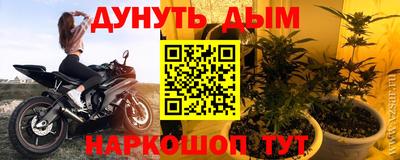 трава Новозыбков